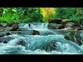 Live: Relaxing River Sounds for Deep Focus and Meditation | Calming Nature Stream 24/7