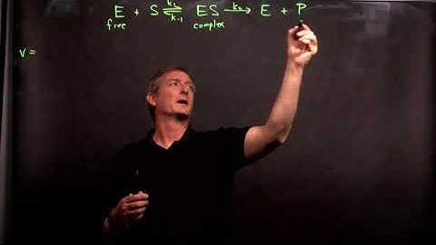Enzyme-Catalyzed Reaction Kinetics Part I