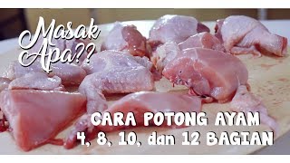 POTONG AYAM SENDIRI BIAR UNTUNG BANYAK//Tips Motong Ayam Buat Usaha Pecel Ayam. 
