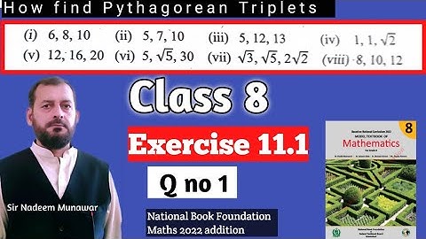 Class 8 Exercise 11.1 Q no 1 NBF Maths Pythagorean Triplets in Urdu   مسئلہ فیثا غورث  Sir Nadeem