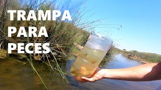 TRAMPA PARA PECES, MOJARRAS, PESCANDO EN PEQUEÑO ARROYO, PESCA URBANA 2022