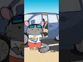 Chinchillas Take Dust Baths To Clean Their Fur And Get Rid Of Excess Moisture Chinchillas Take Dust Baths To Clean Their Fur And Get Rid Of Excess Moisture