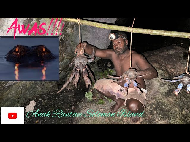 Memburu Coconut Crab Malam Hari di Kepulauan Solomon Island//Awas!!!! Bahaya Ada Di Mana-Mana🐊 class=