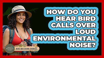 How Do You Hear Bird Calls Over Loud Environmental Noise? - Bird Watching Diaries