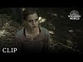 Harry Shares His Visions With Hermione Harry Potter And The Deathly Hallows Pt 1