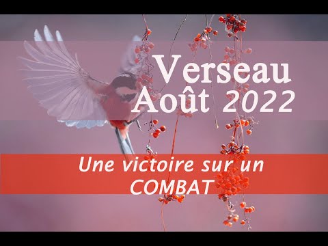 ♒VERSEAU ♒ Août 2022 - 