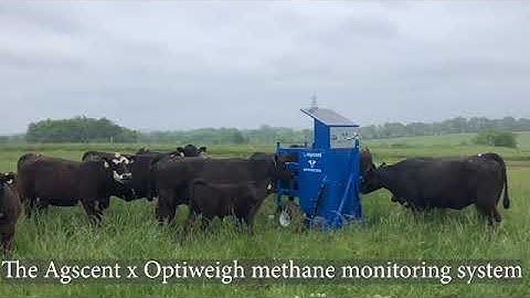 Agscent X Optiweigh - Scalable Methane Monitoring System 2025-9