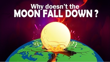 Why doesn