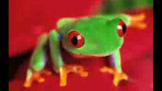 Classic House - Hope  - Tree Frog (CLUB MIX) Resimi