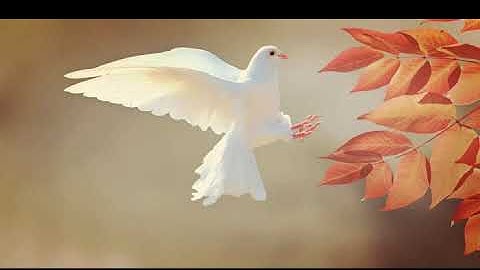 مجودا   ## سورة الأنبياء كاملة برواية حفص عن عاصم