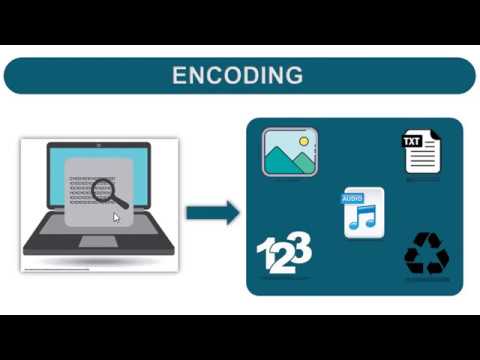 Flash Lecture: What is Binary Data?