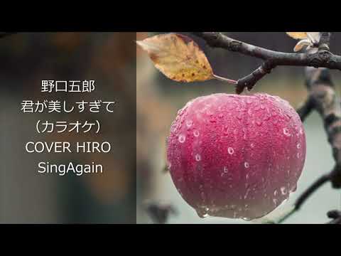 ★野口五郎　君が美しすぎて　COVER BY HIRO