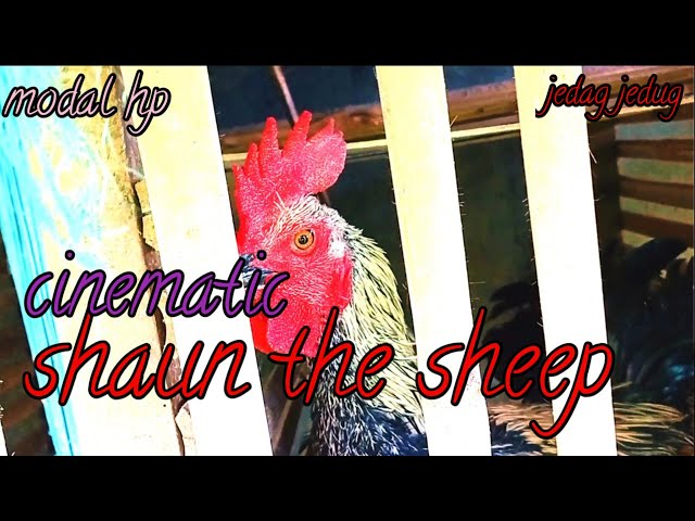 cinematic shaun the sheep | dj viral tiktok | Versi Saya class=