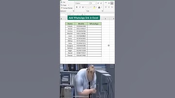 Add Clickable WhatsApp Link in Excel 📱✅ | Make Excel Interactive!