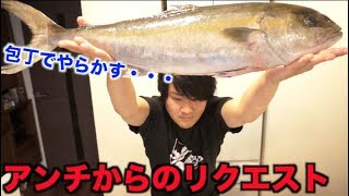 アンチに言われたので