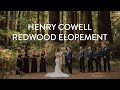 Redwood intimate wedding  sam and lindsey cinematic feature in henry cowell state park felton ca