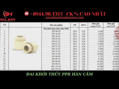 Video ĐAI KHỞI THỦY PPR HẰN CẮM TIỀN PHONG - D40 - D125 - youtube