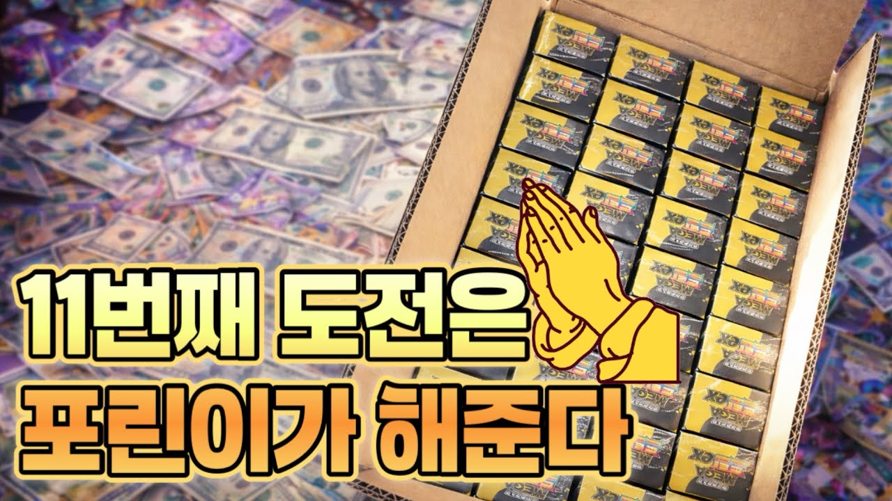 🎁카톤에서 5박스만 더 구매해봤어요. 