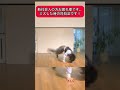 新社会人の方お疲れ様です♪ミスした時の対処法です #twice #india #funny #memes #job