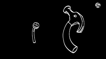 The Great Hydrogen Reset - with Michael Liebreich