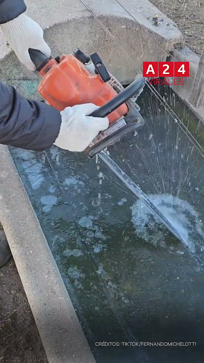 ❄️🐮 MOTOSIERRA CONTRA EL FRÍO PARA QUE LAS VACAS TOMEN AGUA