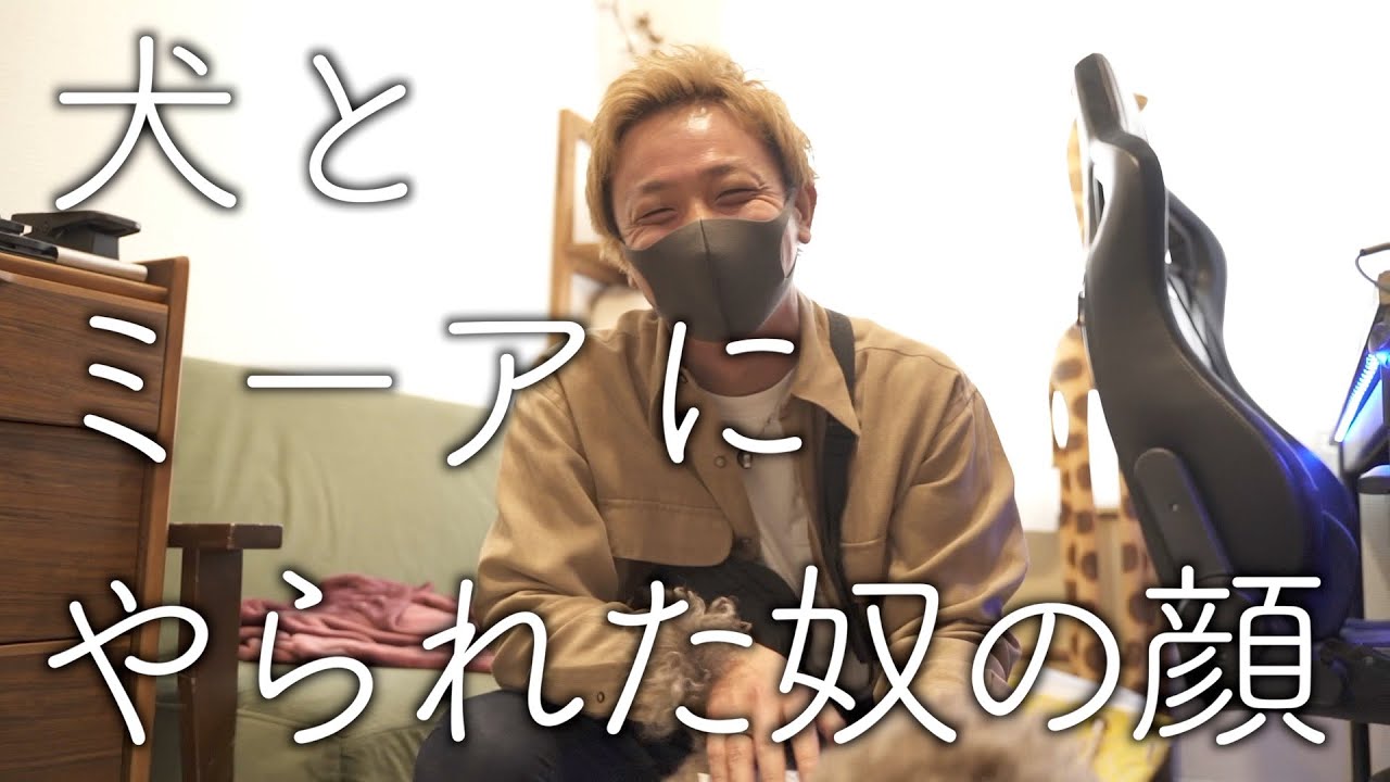 犬とミーアキャットと歌う緑の人