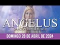 Ángelus de Hoy DOMINGO 28 DE ABRIL DE 2024 ORACIÓN DE MEDIODÍA