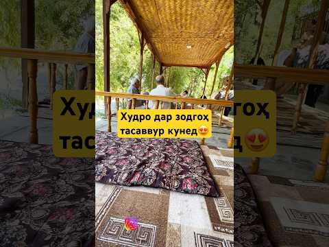 Исфара 2025-Исфара вайб