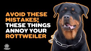 ROTTWEILER: 7 THINGS HE DISLIKES
