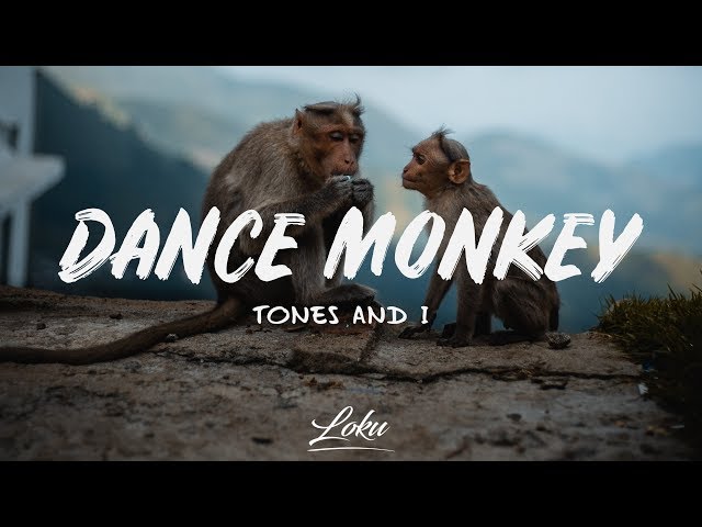 Tones And I - Dance Monkey (Lyrics) class=