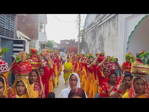 सढोरा मे भव्य रथ यात्रा, हुआ भव्य स्वागत, दिव्या ज्योति जागृति संस्थान ने किया आयोजन.. कथा 2 जून से.