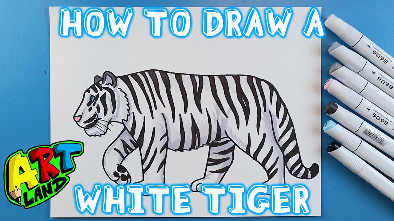 Featured image of post How2Drawanimals Tiger