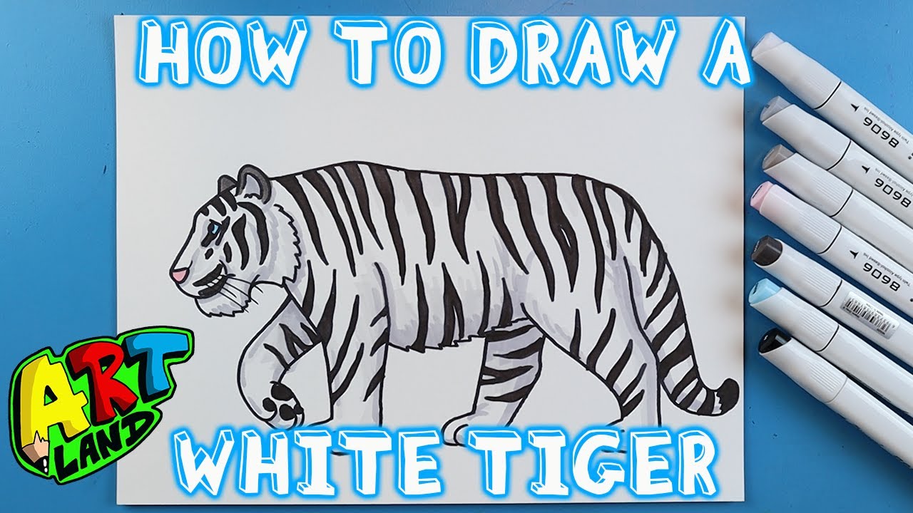 white tiger drawing