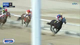 Vidéo de la course PMU HANDICAP