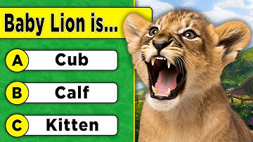 Are You SMARTER Than a 7TH GRADER? 🧠  | General Knowledge Quiz 📚