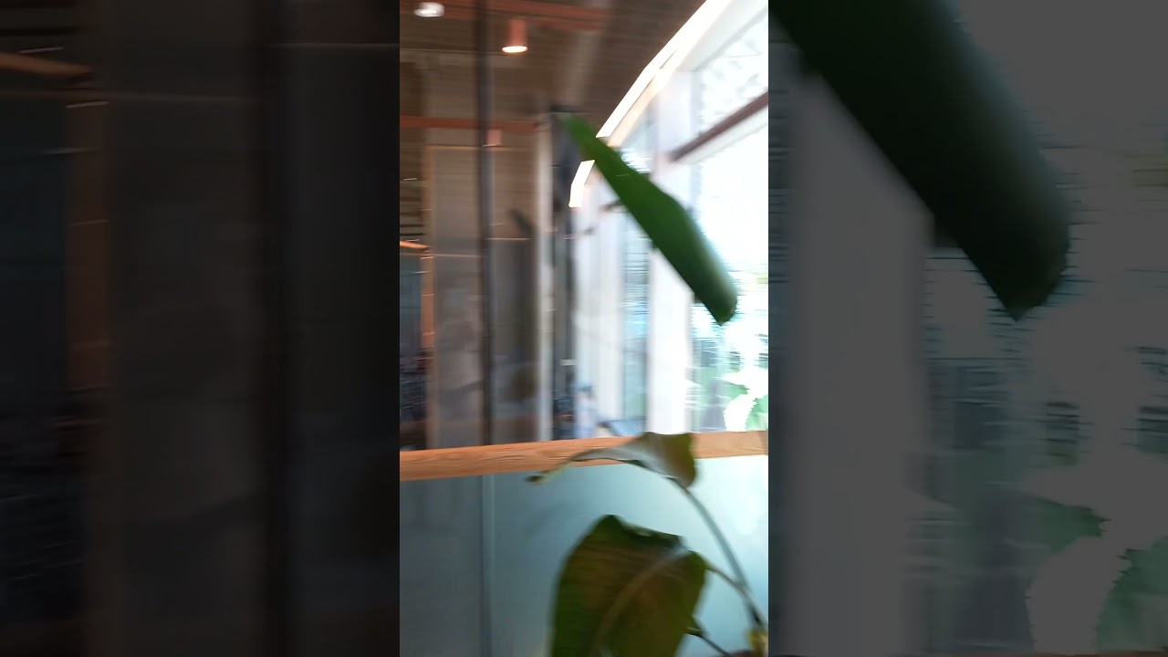 Beautiful Beach - Saint Laurent du Var EP.4