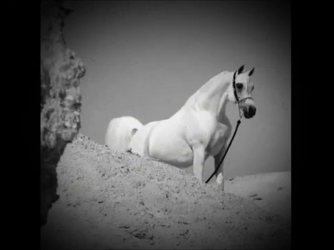 اغنية ابن شملان