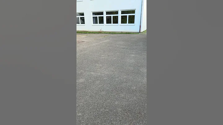 Fire cracker Power Test 🔥😱 (Diwali paper bomb) #shorts #tricks #fireworks #cracker #paper #newyear