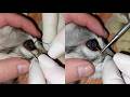 Removing A Huge Thorn From A Cat's Eye