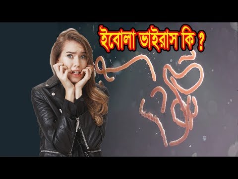 ভিডিও: ইবোলা ভাইরাস এবং বিড়াল