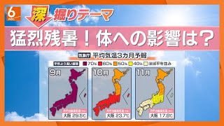 Download Lagu 【猛暑で“脳梗塞”・“尿路結石”に!?】夏バテ続くと病気リスク増大 気を付けるポイントは…医師が解説【きょうの深掘り】 MP3 Download Lagu 【猛暑で“脳梗塞”・“尿路結石”に!?】夏バテ続くと病気リスク増大 気を付けるポイントは…医師が解説【きょうの深掘り】 MP3