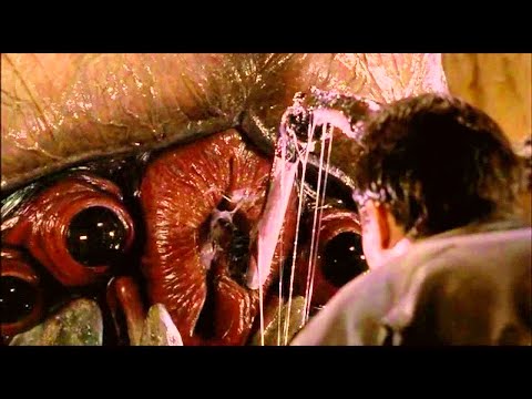 Giant Bug Steals