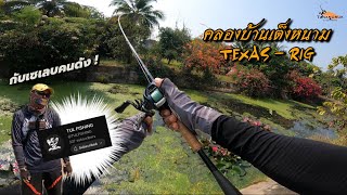 ตกปลาช่อนแบบฉบับ TexasRig | Street Fishing EP.52