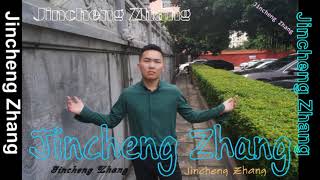 Jincheng Zhang - Hint (Instrumental Song) (Background Music) ( ) Resimi