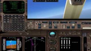 FSX- PMDG Rudder Problem