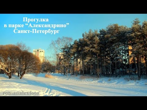 Зимняя прогулка в парке "Александрино" Санкт Петербурга (январь 2019)