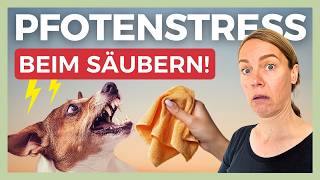 🐾 From Snatching to Participating! Retrain your dog's paw cleaning – dog training instead of coer...