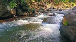 Nature Sounds Soothe the Mind in a Beautiful River - beat Stress, Insomnia, Nerve Treatment