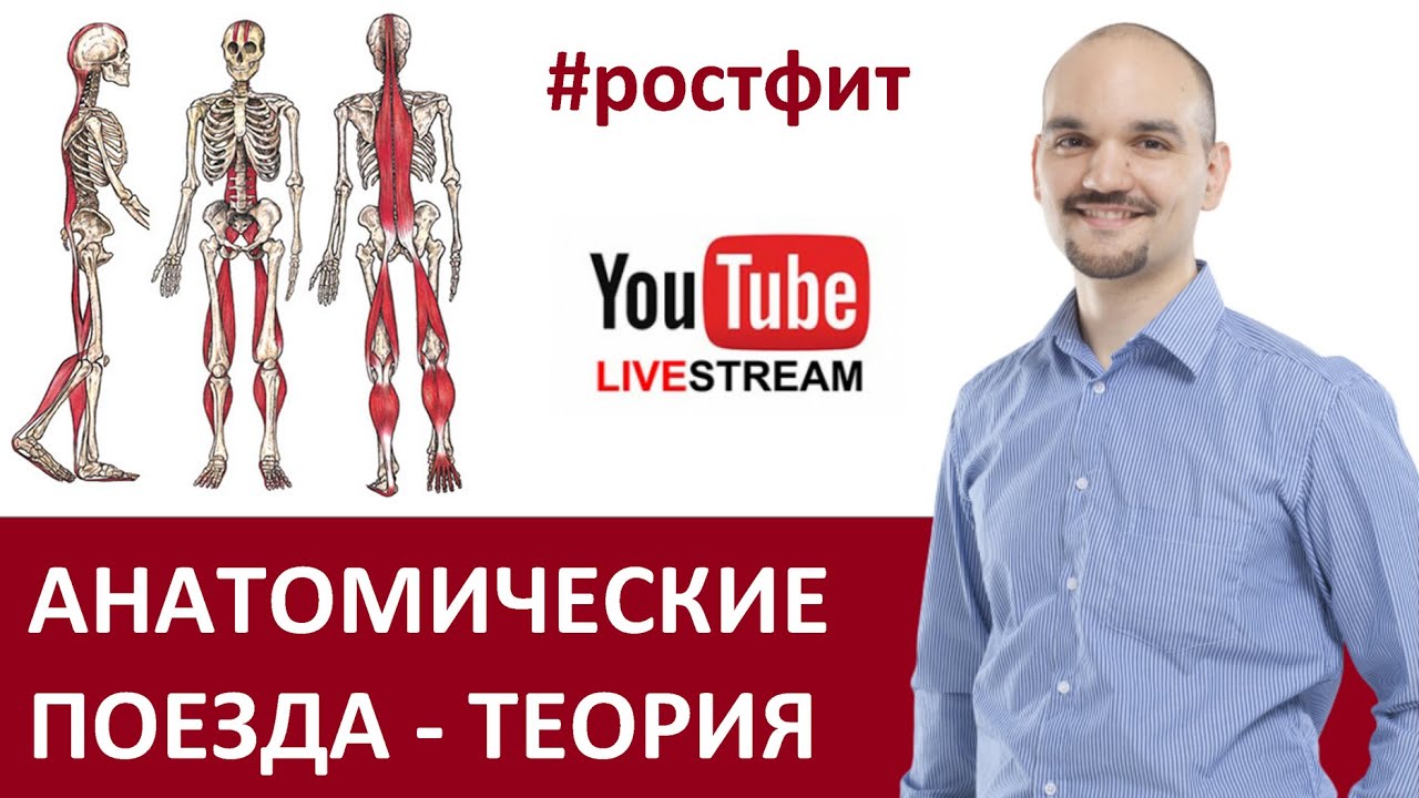Анатомические поезда - запись стрима от 01.12.2020 с Дмитрием Семёновым