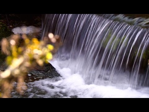 Pourquoi Vittel Est Elle La Capitale De L Eau Youtube Pourquoi Vittel Est Elle La Capitale De L Eau Youtube